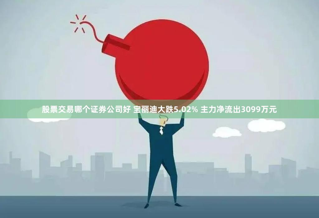 股票交易哪个证券公司好 宝丽迪大跌5.02% 主力净流出3099万元