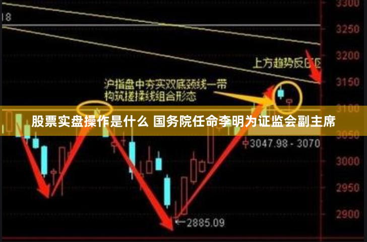 股票实盘操作是什么 国务院任命李明为证监会副主席