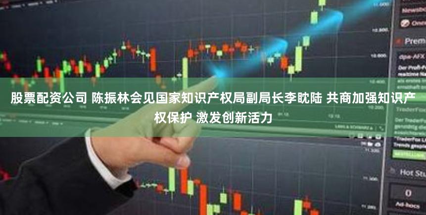 股票配资公司 陈振林会见国家知识产权局副局长李眈陆 共商加强知识产权保护 激发创新活力